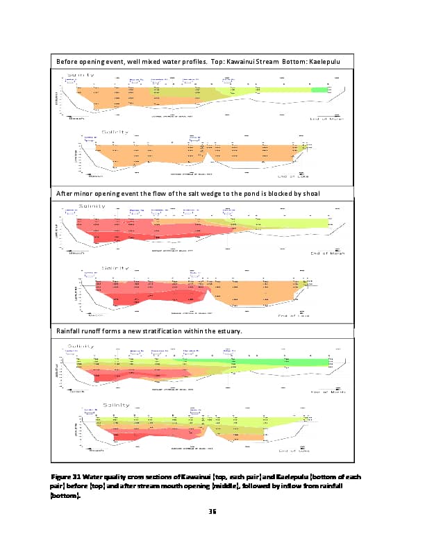 Physical-and-water-quality-processes-in-Kaelepulu-100616-converted[43]